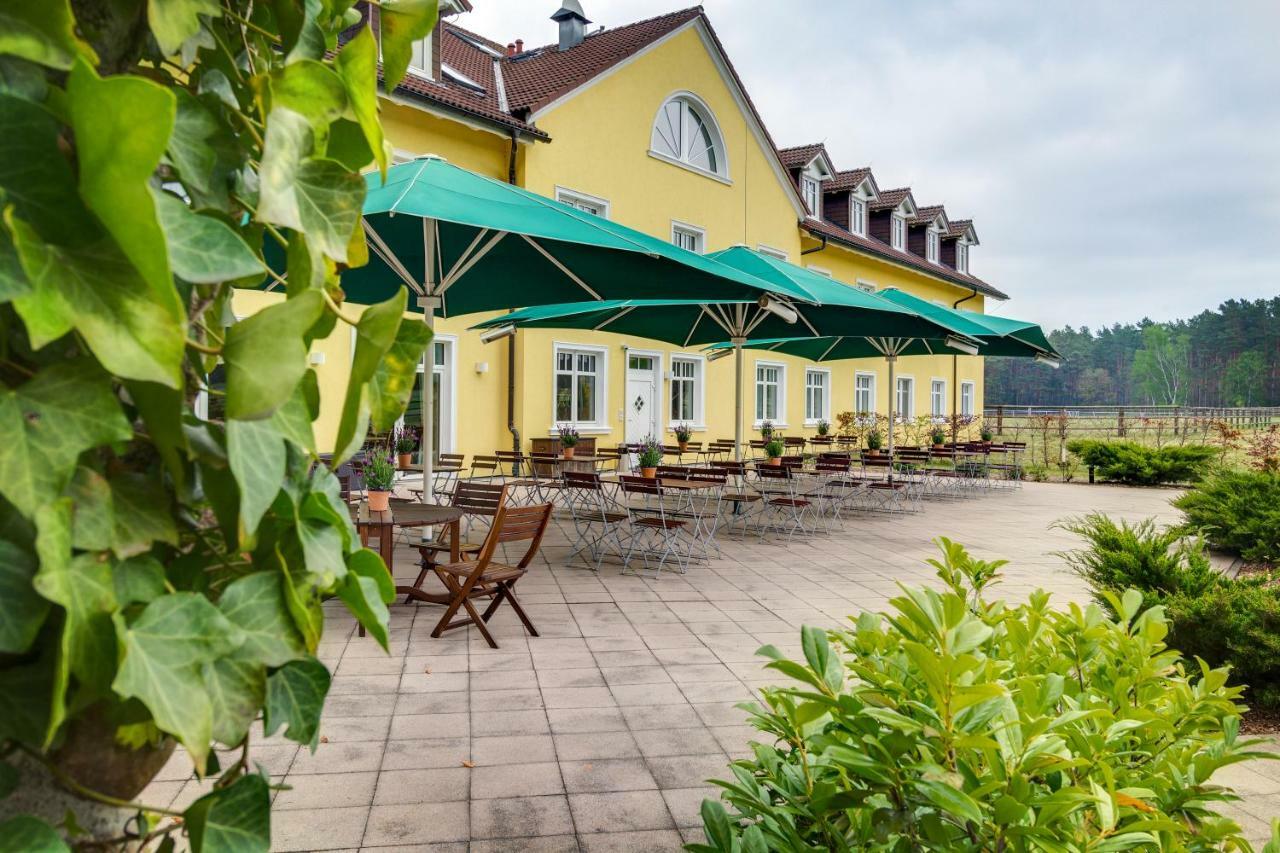 Ferien Hotel Flaeming Niemegk  Esterno foto